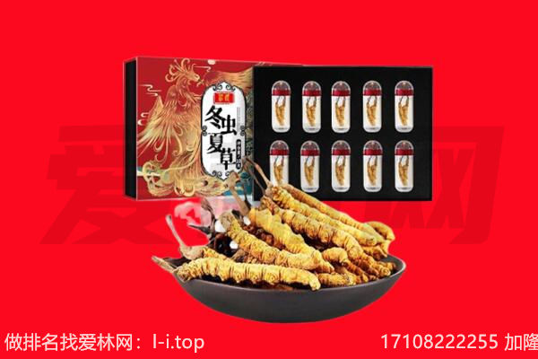 顺河区回收虫草.jpg